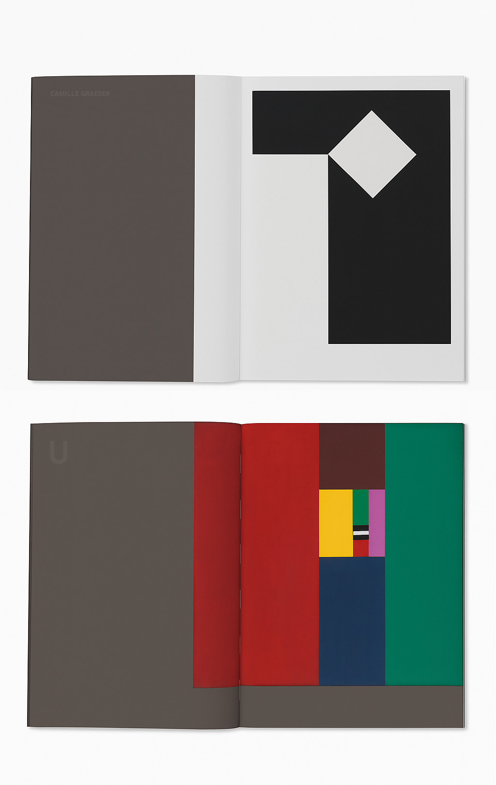 Camille Graeser: Synthese