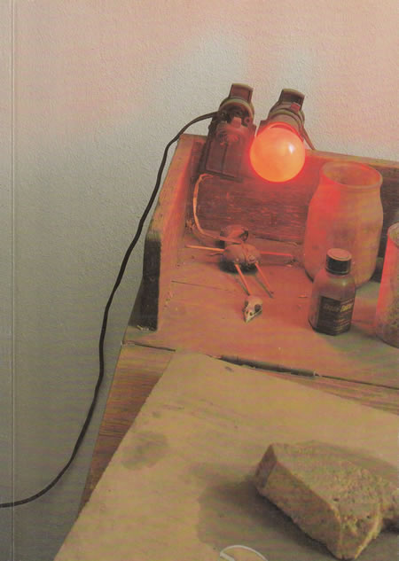Transit. Joseph Beuys: Plastische Arbeiten 1947—1985. Joseph Beuys: Zeichnungen 1947—1977. Joseph Beuys: Barraque D'dull Odde, 1961—1967 / Sabine Röder, Gerhard Storck
