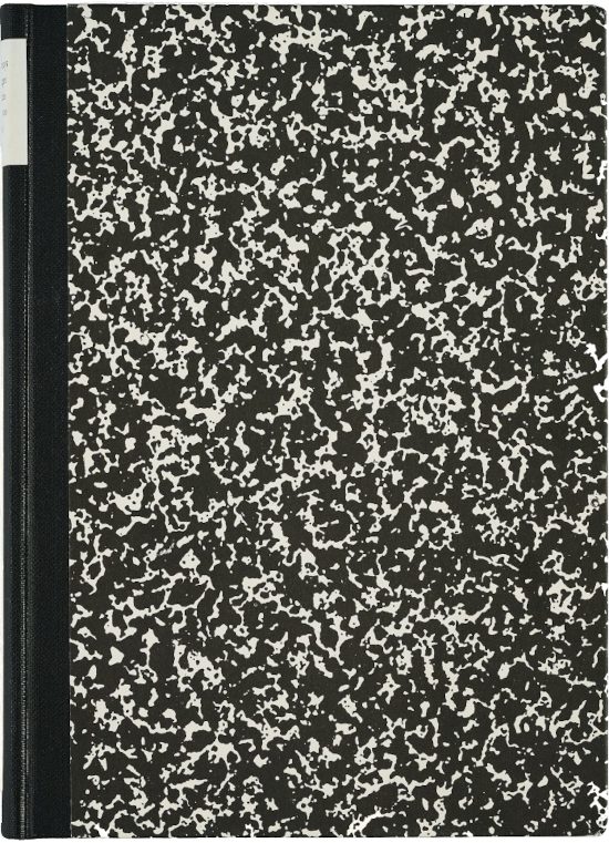 Joseph Beuys Zeichnungen zu den beiden 1965 wiederentdeckten Skizzenbüchern 'Codices Madrid' von Leonardo da Vinci / Joseph Beuys