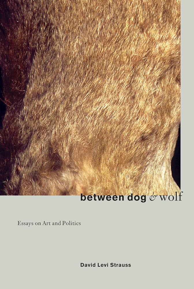 between dog & wolf, Essays on Art and Politics