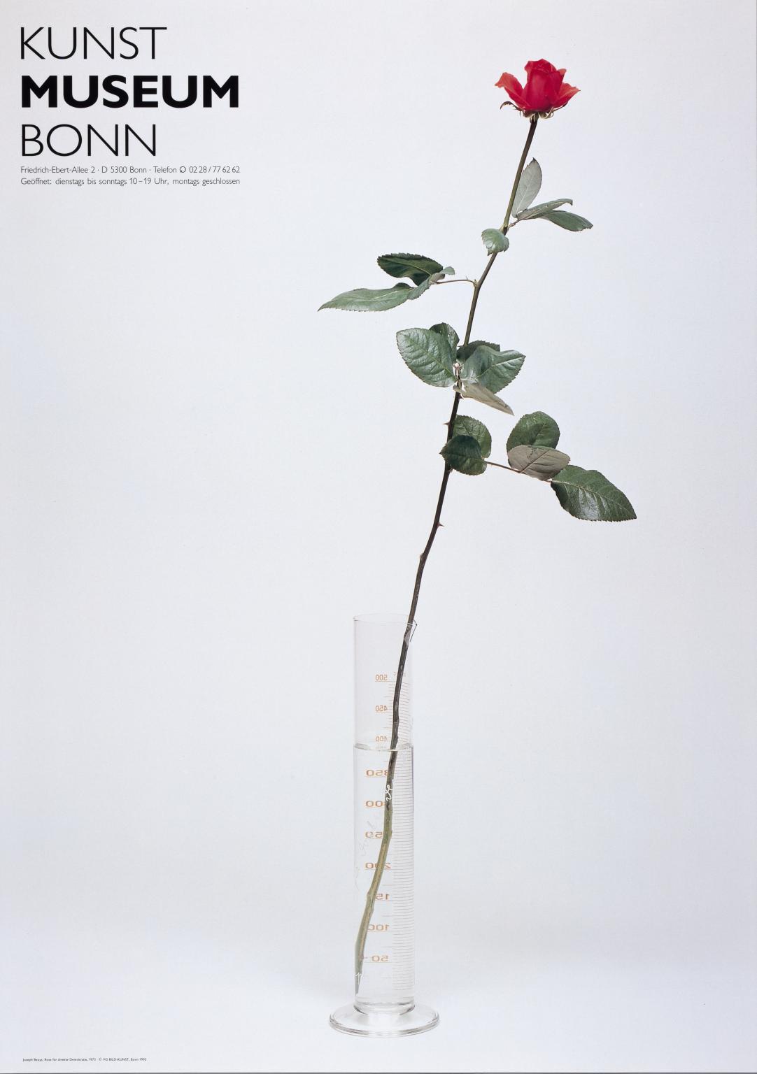 Joseph Beuys: Rose for Direct Democracy (1973). Kunst Museum, Bonn. 1992