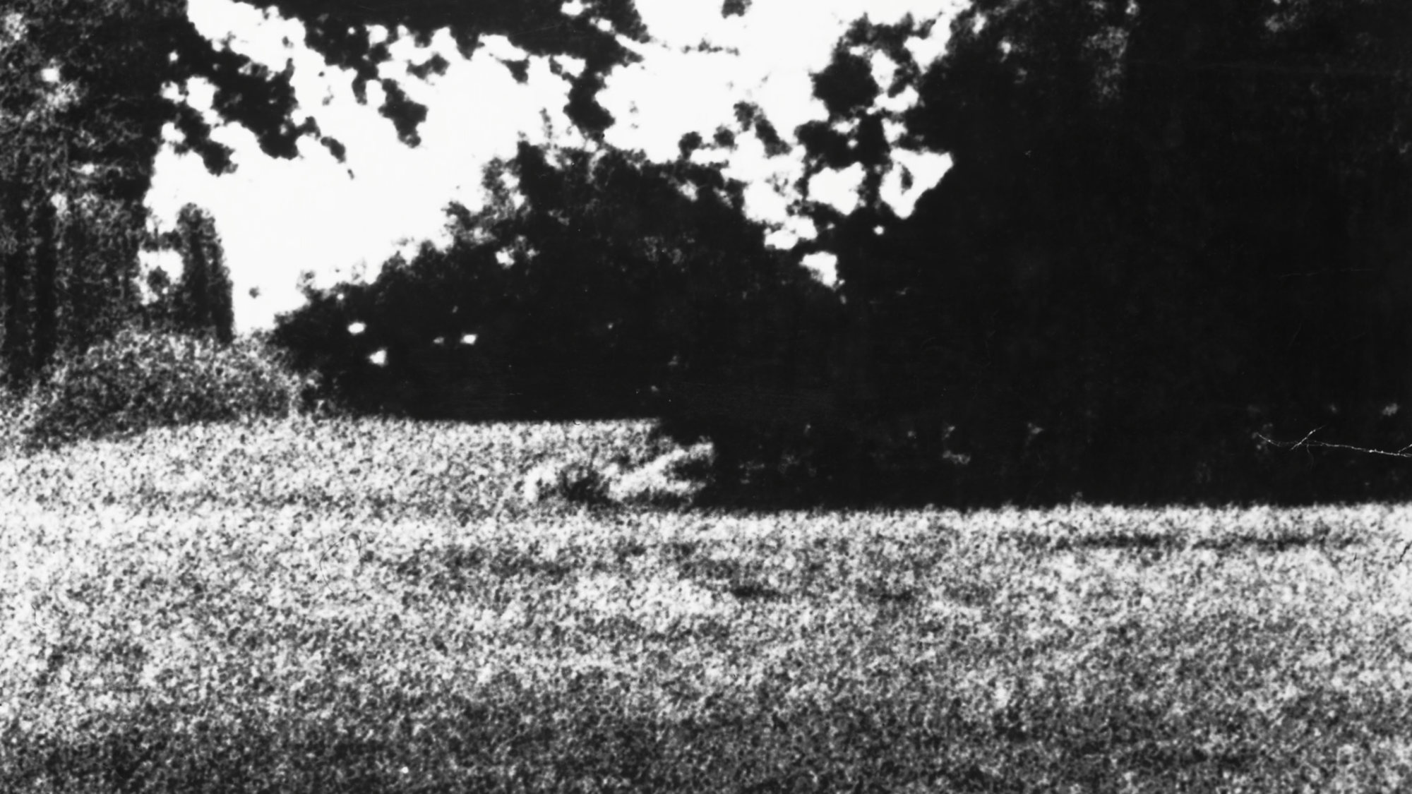 Blow-Up (1966), Thomas’ blow-ups from the Park, Don McCullin.