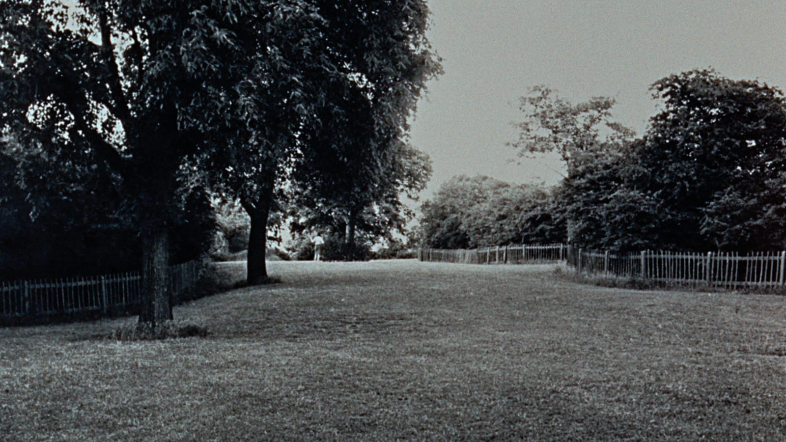 Blow-Up (1966), Thomas’ blow-ups from the Park, Don McCullin.