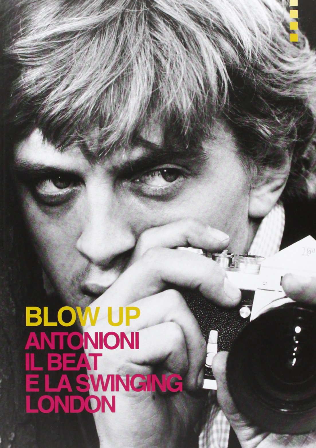 Blow up. Antonioni, il beat e la swinging London / M. Guidoni, V. Mainoldi