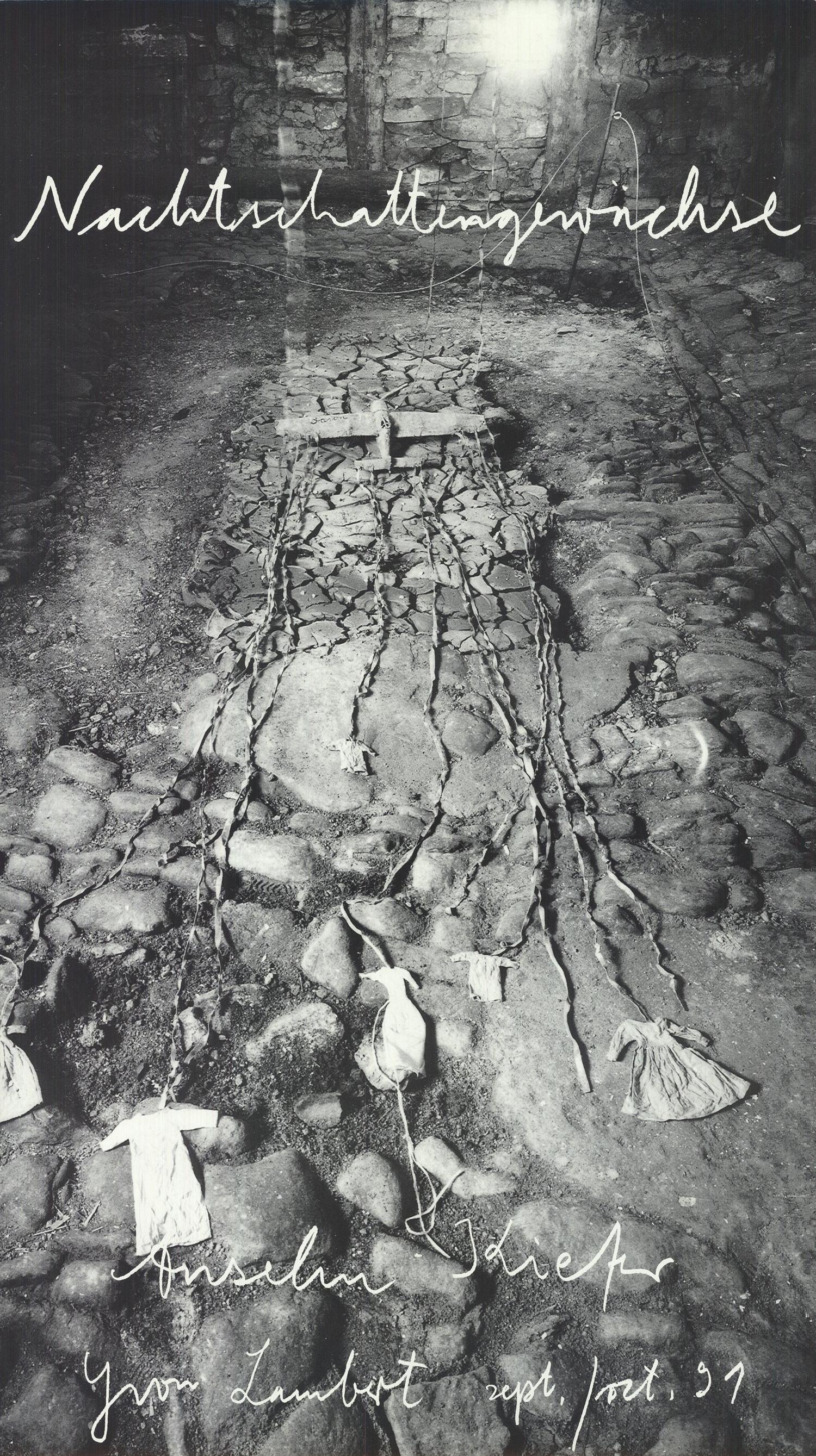 Nachtschwattengewachse. Galerie Yvon Lambert, Paris. 1991