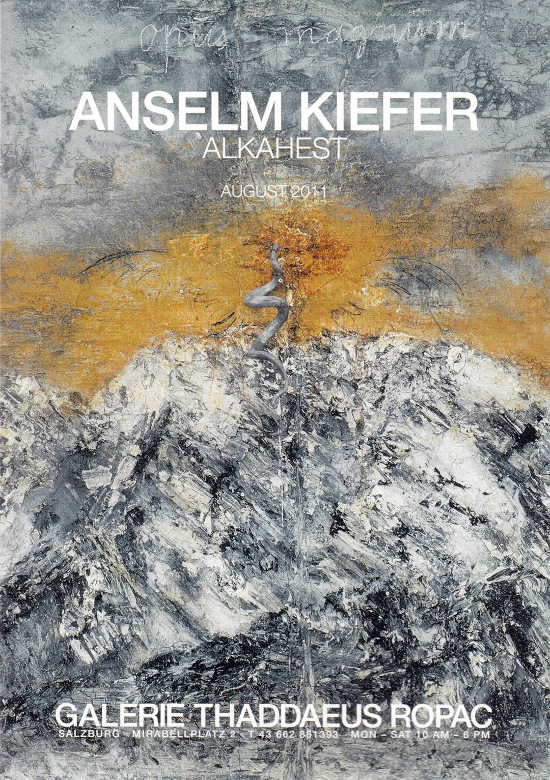Alkahest. Galerie Thaddeus Ropac, Salzburg. 2011 