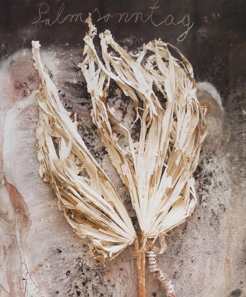 Anselm Kiefer: Sternenfall / Pierre Assouline, Paul Ardenne