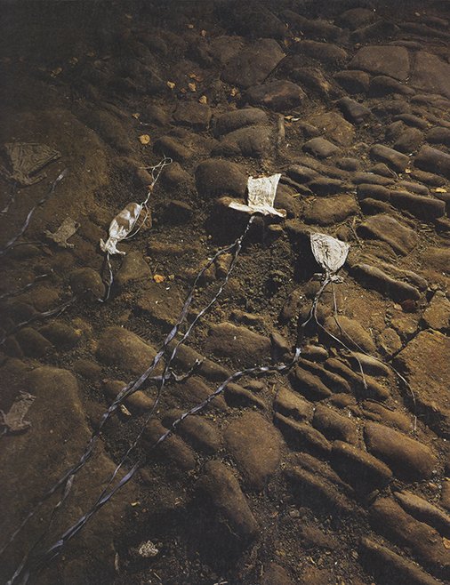 Anselm Kiefer: Nachtschattengewächse / Jean-Noël Vuarnetr