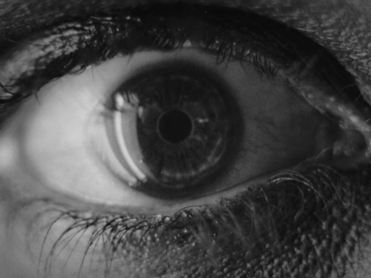Metropolis 1927.