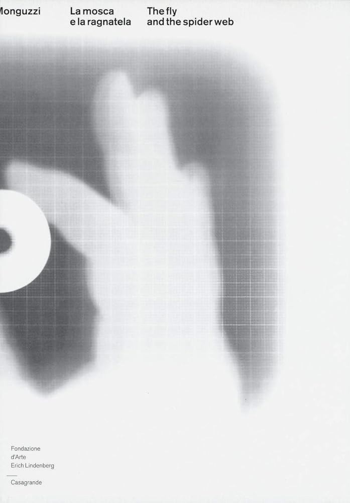 La mosca e la ragnatela – The fly and the spider web: Bruno Monguzzi.