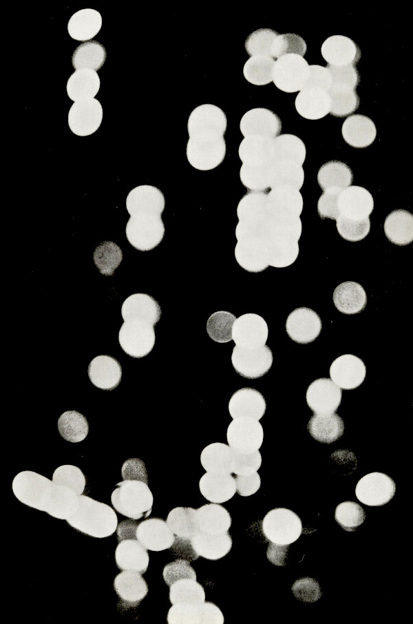Eye, Vol. 5, No. 19, 1995 