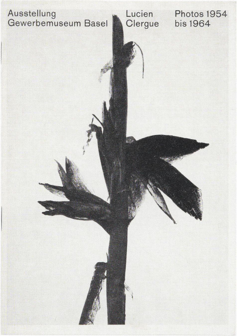 Ausstellung Lucien Clergue Photos 1954 bis 1964.